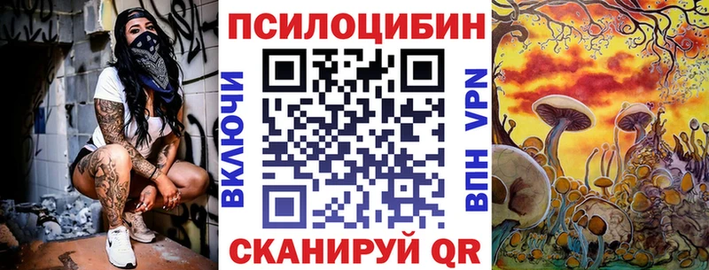 нарко площадка наркотические препараты  Шимановск  Псилоцибиновые грибы GOLDEN TEACHER  цена наркотик 