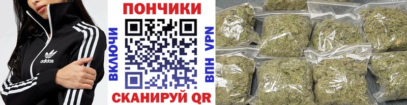 что такое   Шимановск  Бошки марихуана ГИДРОПОН 